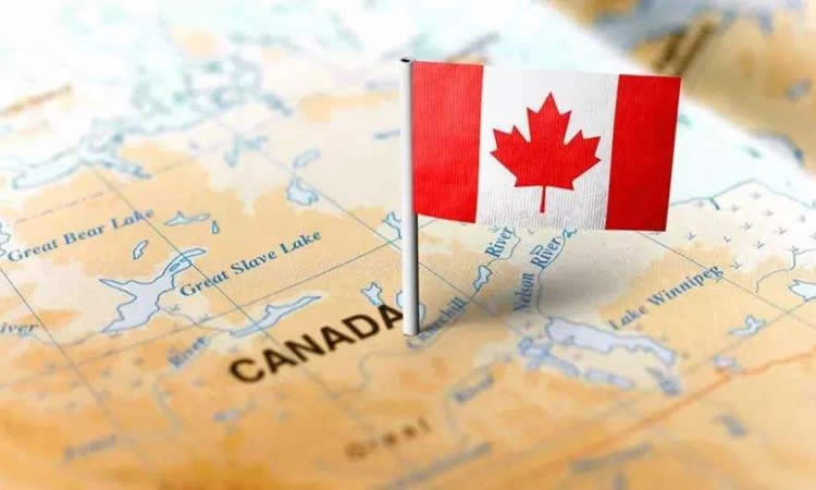 加拿大同一人声明书公证认证用于出售国内房产如何办理？
